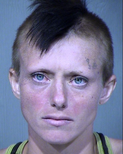 AMBER N DANIEL Mugshot / Maricopa County Arrests / Maricopa County Arizona