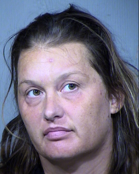 ROBIN MARIE KOERSCHNER Mugshot / Maricopa County Arrests / Maricopa County Arizona