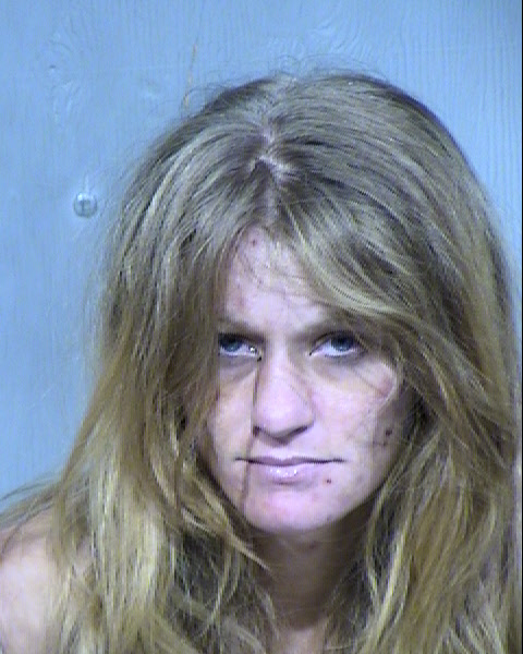 CYNTHIA LYNN NORWOOD Mugshot / Maricopa County Arrests / Maricopa County Arizona