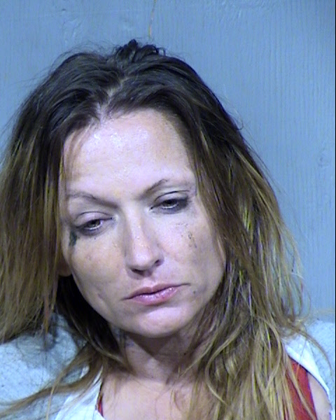 FAITH ANN DIAZ Mugshot / Maricopa County Arrests / Maricopa County Arizona