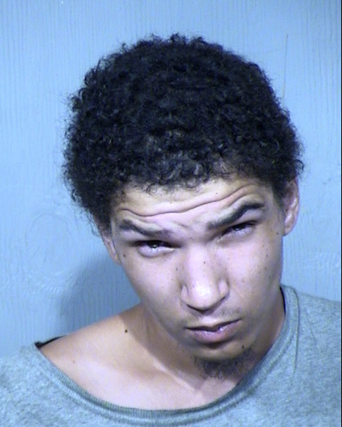 TYLER D ANDRE MCWILLIAMS Mugshot / Maricopa County Arrests / Maricopa County Arizona