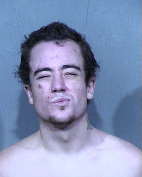 JERRY LEN WILEY Mugshot / Maricopa County Arrests / Maricopa County Arizona