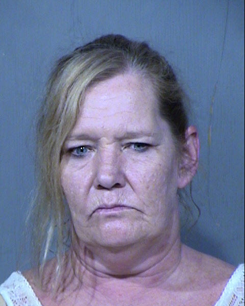 KAREN JOY HALLOCK Mugshot / Maricopa County Arrests / Maricopa County Arizona