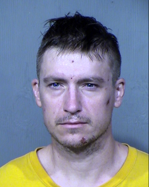WILLIAM THOMAS BRASSARD Mugshot / Maricopa County Arrests / Maricopa County Arizona