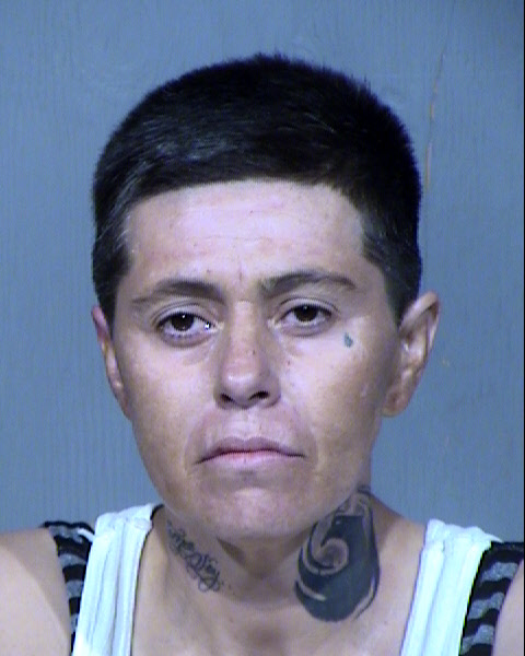 JESSICA MARIE ABRIL Mugshot / Maricopa County Arrests / Maricopa County Arizona