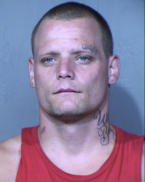 STEVEN MICHAEL DAVIS Mugshot / Maricopa County Arrests / Maricopa County Arizona