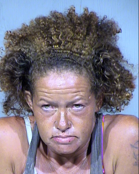 ELIZABETH R GRIEGO Mugshot / Maricopa County Arrests / Maricopa County Arizona