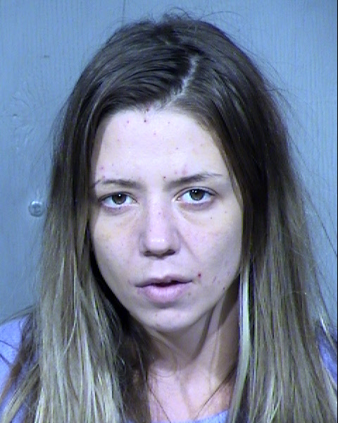LISA WILLIAMS Mugshot / Maricopa County Arrests / Maricopa County Arizona