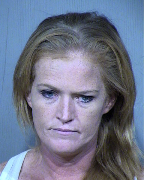 REBECCA LEE EIDSON Mugshot / Maricopa County Arrests / Maricopa County Arizona
