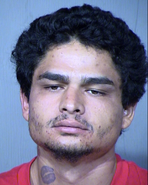 IGNACIO MANUEL METZGAR Mugshot / Maricopa County Arrests / Maricopa County Arizona