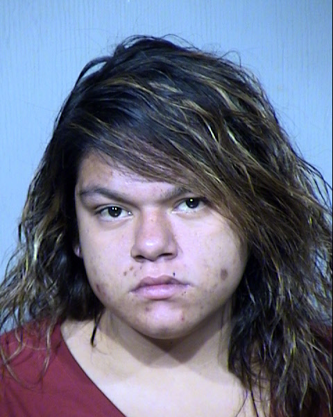 MANUELA GUADALUPE ROBLES Mugshot / Maricopa County Arrests / Maricopa County Arizona