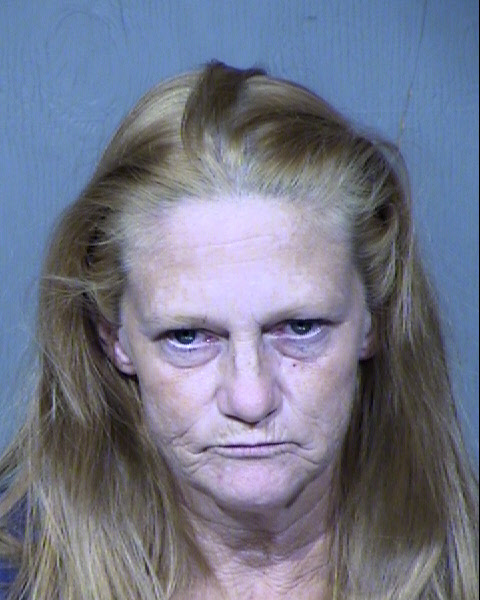 CYNTHIA JO CAREL Mugshot / Maricopa County Arrests / Maricopa County Arizona