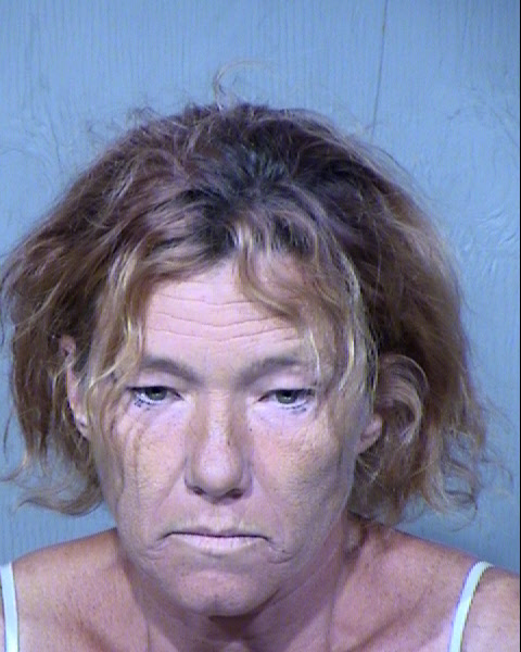 DAWN MICHELLE CHLUDZINSKI Mugshot / Maricopa County Arrests / Maricopa County Arizona