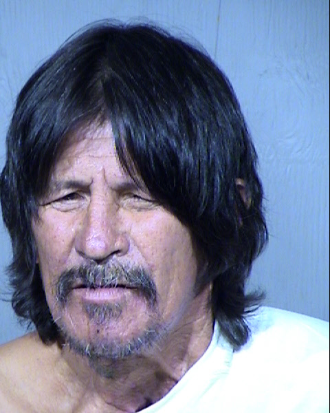 ROBERT E LEE Mugshot / Maricopa County Arrests / Maricopa County Arizona