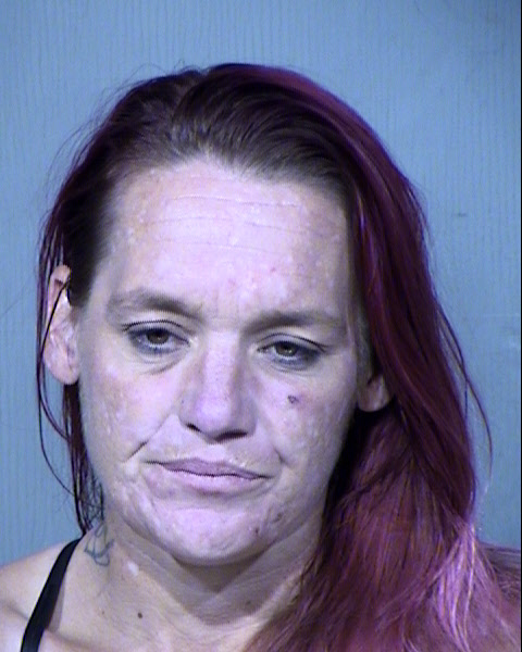 DARCY LYNN EZELLE Mugshot / Maricopa County Arrests / Maricopa County Arizona