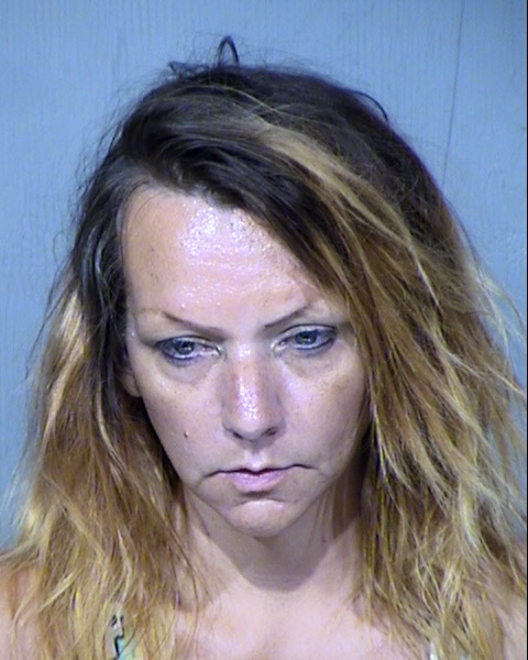 DELANIE ANN BROWN Mugshot / Maricopa County Arrests / Maricopa County Arizona