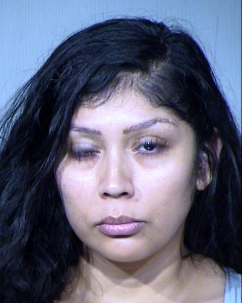 JAMIE R NAVARRO Mugshot / Maricopa County Arrests / Maricopa County Arizona