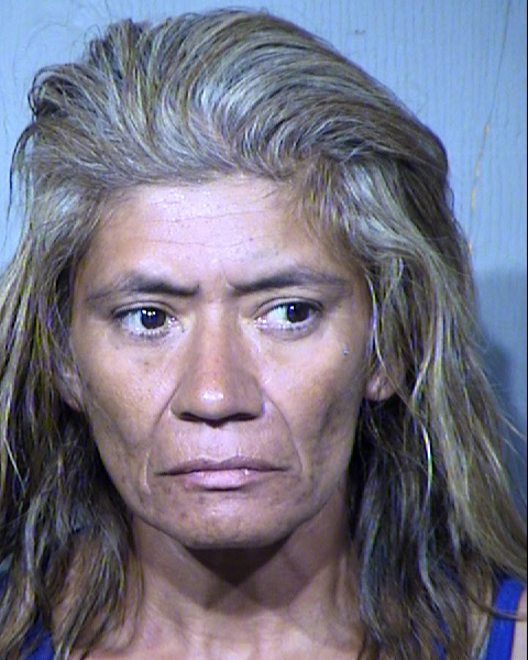 APRIL ROSALIE SOLANO Mugshot / Maricopa County Arrests / Maricopa County Arizona