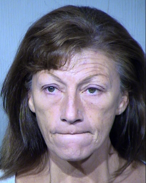 MARY K GOFF Mugshot / Maricopa County Arrests / Maricopa County Arizona