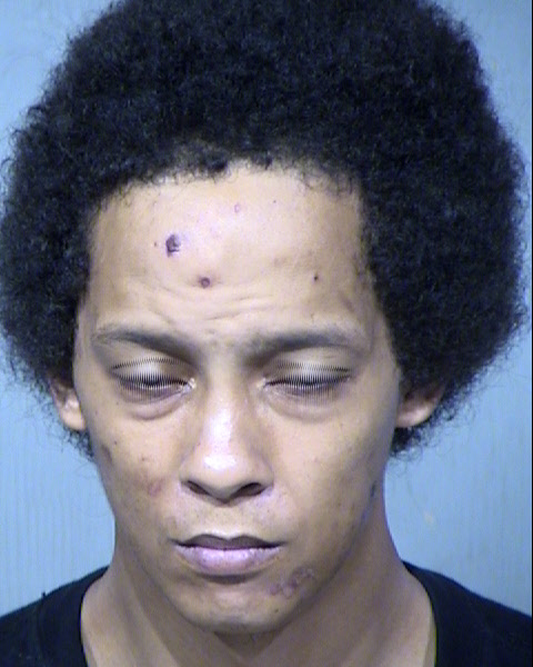 LANCE WILMER NICHOLSON Mugshot / Maricopa County Arrests / Maricopa County Arizona