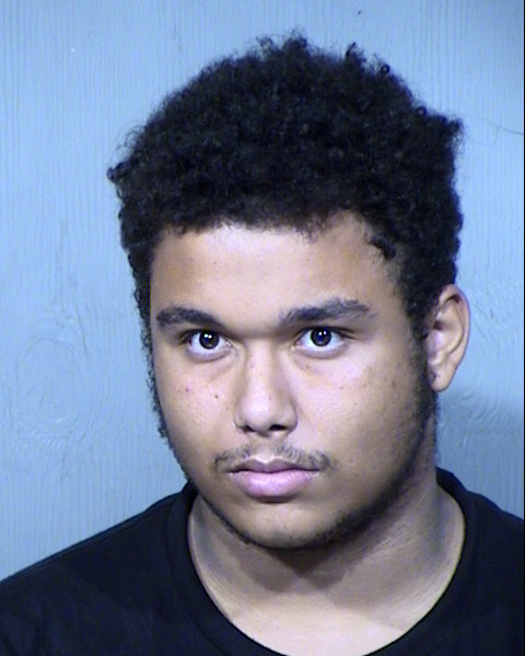 DRAKE JADIN ANSELMO-LEHR Mugshot / Maricopa County Arrests / Maricopa County Arizona