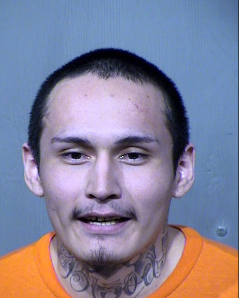 JOSEPH DONALD WILLIAMS Mugshot / Maricopa County Arrests / Maricopa County Arizona