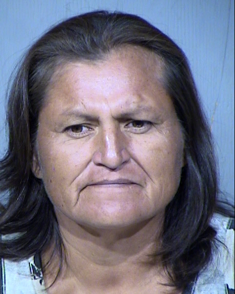 ELVINA JEAN NELSON Mugshot / Maricopa County Arrests / Maricopa County Arizona