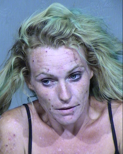 SASHA MARIE TOMBLIN HANSHAW Mugshot / Maricopa County Arrests / Maricopa County Arizona