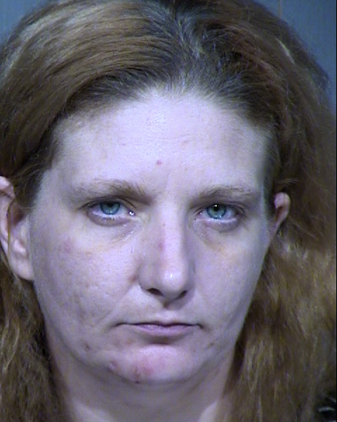 CHRISTINA M FEIK Mugshot / Maricopa County Arrests / Maricopa County Arizona