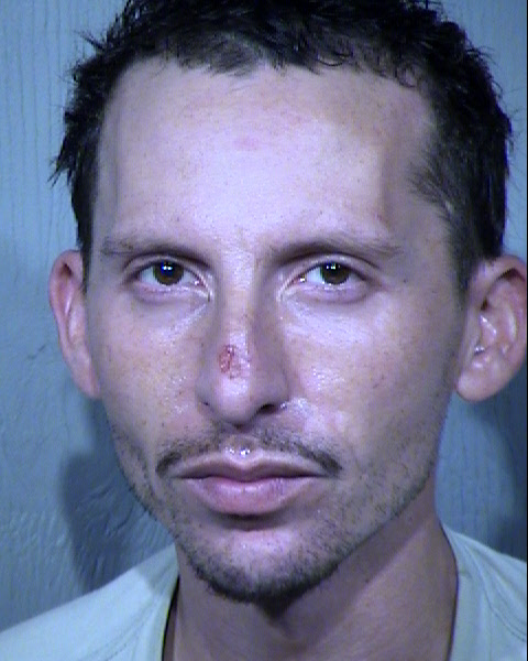 MICHAEL ALEXANDER TURNER Mugshot / Maricopa County Arrests / Maricopa County Arizona