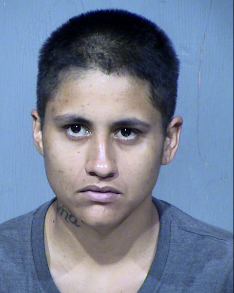 ANTOINETTE LUPITA HERNANDEZ Mugshot / Maricopa County Arrests / Maricopa County Arizona