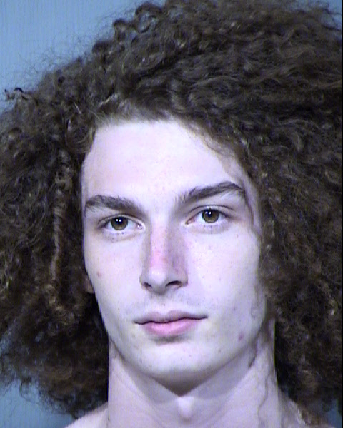 CAMERON LEE TRONE Mugshot / Maricopa County Arrests / Maricopa County Arizona