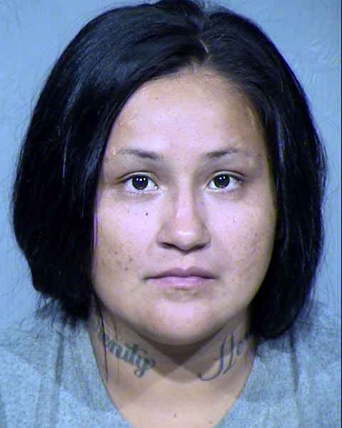 KRISTY RENEE HILL Mugshot / Maricopa County Arrests / Maricopa County Arizona