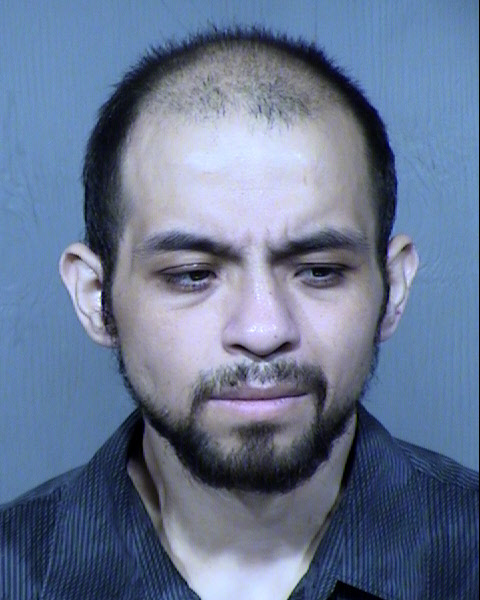 DIEGO ALBERT PALACIO Mugshot / Maricopa County Arrests / Maricopa County Arizona