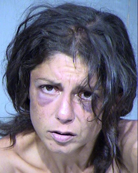 HOLLY ANNE CHAMBERS Mugshot / Maricopa County Arrests / Maricopa County Arizona