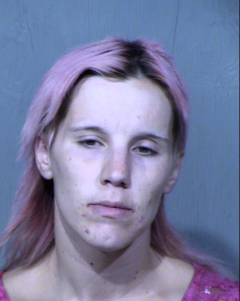 KATTIE SUE ALLEY Mugshot / Maricopa County Arrests / Maricopa County Arizona