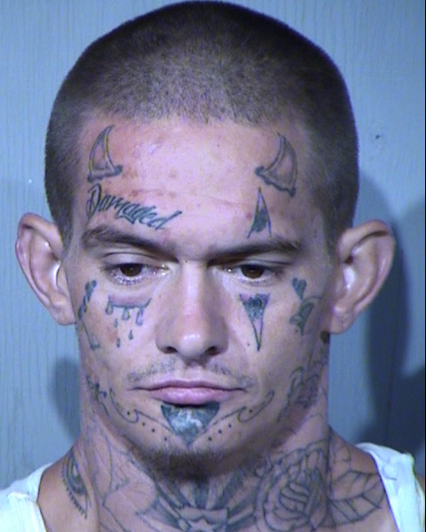 RICHARD DAVID HOWELLS Mugshot / Maricopa County Arrests / Maricopa County Arizona