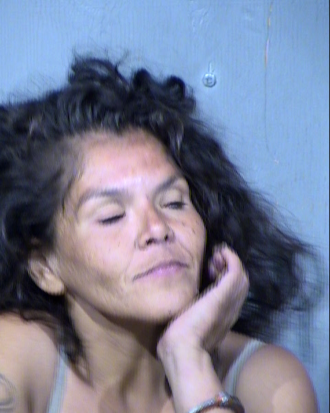 ANA R MENDOZA PINA Mugshot / Maricopa County Arrests / Maricopa County Arizona