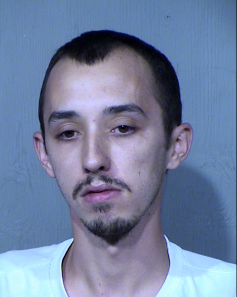RICHARD ALAN STEADMAN Mugshot / Maricopa County Arrests / Maricopa County Arizona