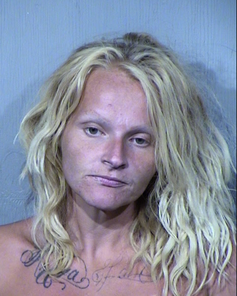 LALI CHRISTEN VINICOMBE Mugshot / Maricopa County Arrests / Maricopa County Arizona