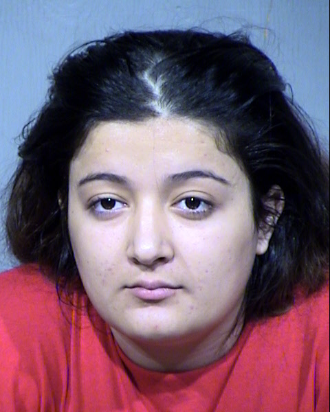 HAJAR AL-SEEDI Mugshot / Maricopa County Arrests / Maricopa County Arizona