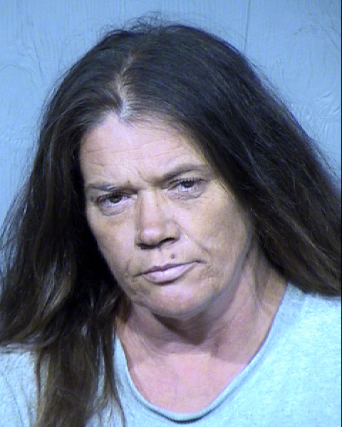 LISA D TADANO Mugshot / Maricopa County Arrests / Maricopa County Arizona