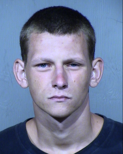 BRAYDAN CHRISTOPHER BREEDLOVE Mugshot / Maricopa County Arrests / Maricopa County Arizona