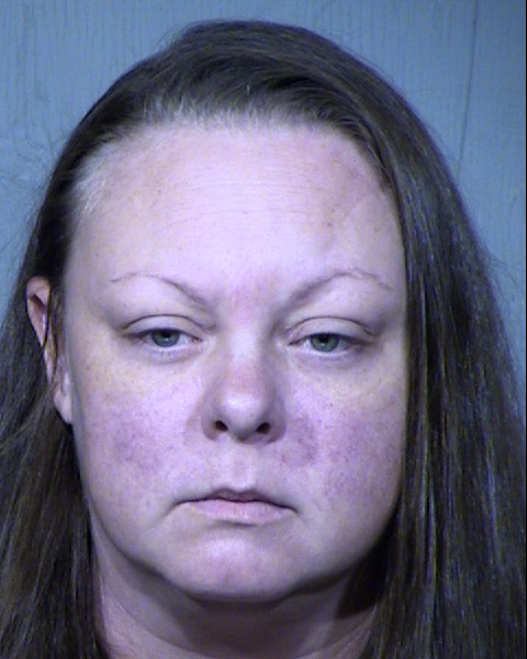 MICHELLE DAHNER HEIN Mugshot / Maricopa County Arrests / Maricopa County Arizona