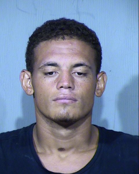 SHANE MICHAEL NEPPLE Mugshot / Maricopa County Arrests / Maricopa County Arizona