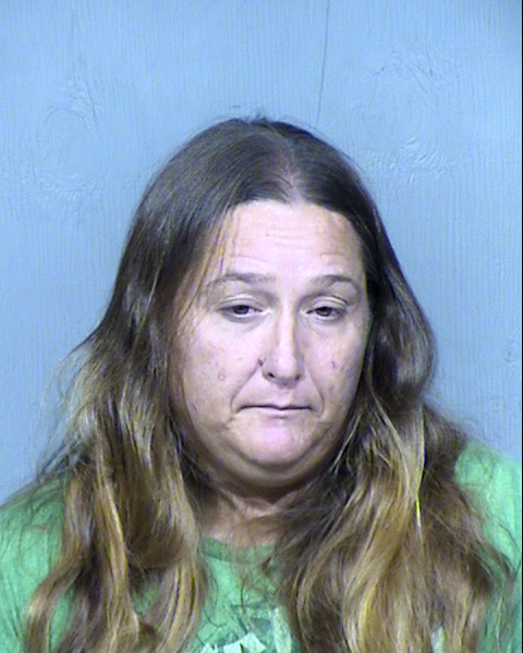 JAMIE MARIE PORTER Mugshot / Maricopa County Arrests / Maricopa County Arizona