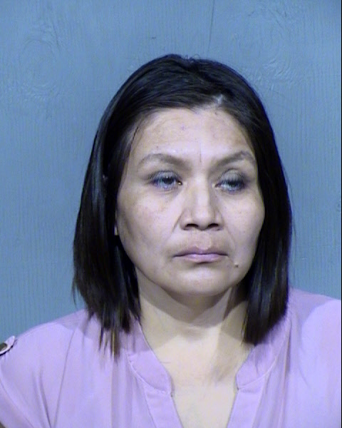 SHONDA J SLIM Mugshot / Maricopa County Arrests / Maricopa County Arizona Arrests SHONDA J SLIM Mugshot / Maricopa County Arrests / Maricopa County Arizona