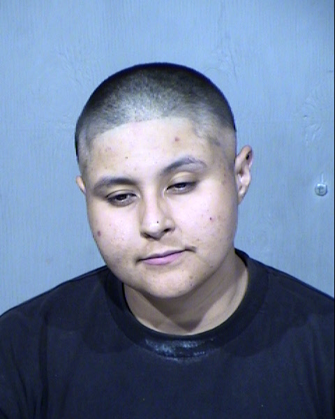 ADRIANA RUBY ORNELAS Mugshot / Maricopa County Arrests / Maricopa County Arizona