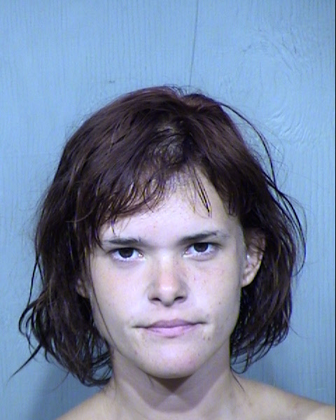 MEGAN RENEE LEMON Mugshot / Maricopa County Arrests / Maricopa County Arizona
