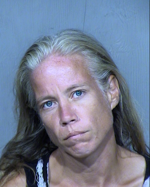 TRACI VANDEVENDER Mugshot / Maricopa County Arrests / Maricopa County Arizona